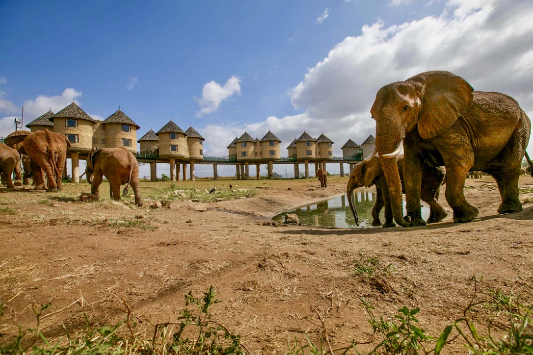 LF Kenia Lodges Olifanten